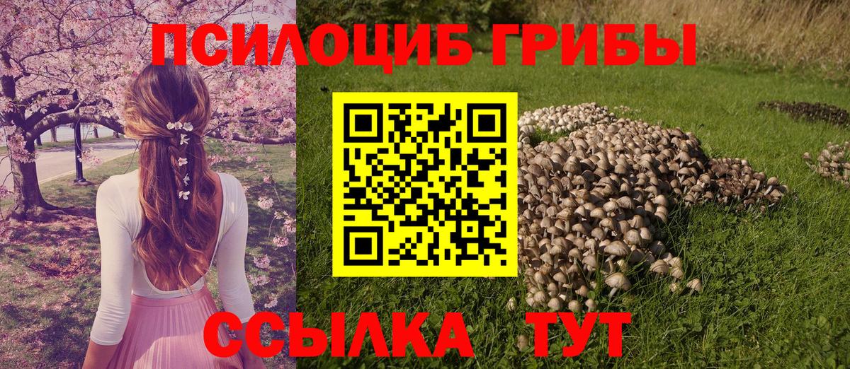 Архангельск  Галлюциногенные грибы GOLDEN TEACHER  Псилоцибиновые грибы MAGIC MUSHROOMS  цены наркотик  Вход с VPN 
