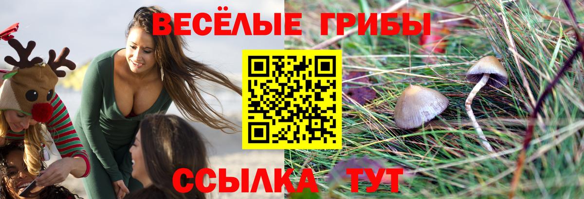 Псилоцибиновые грибы мухоморы Архангельск